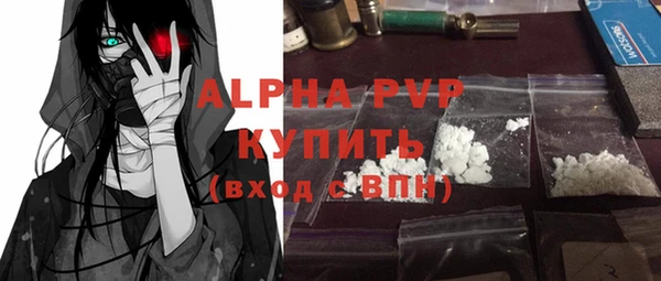 индика Магас