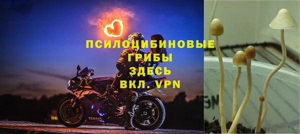 индика Магас
