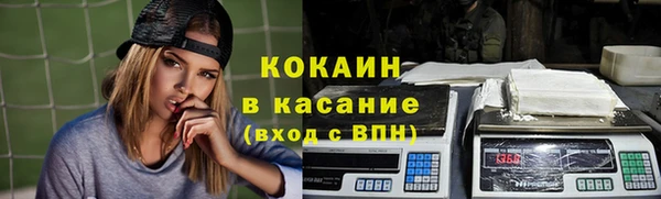 стафф Медногорск