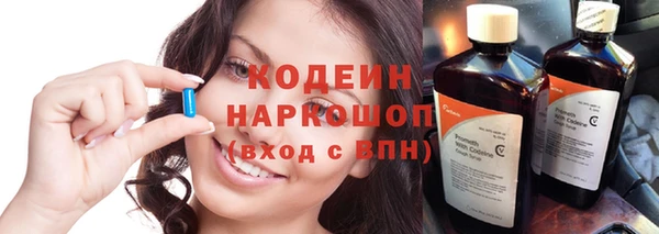 индика Магас