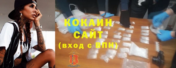 индика Магас