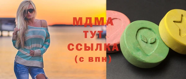 индика Магас