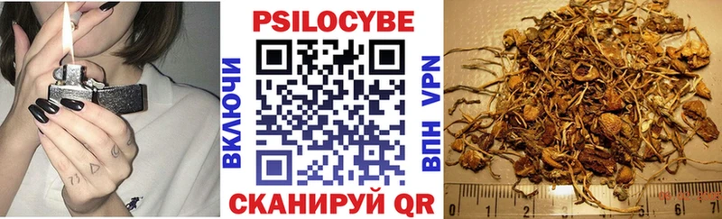 Псилоцибиновые грибы прущие грибы  Яблоновский 